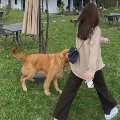 凹凸学园第二季 在线观看
