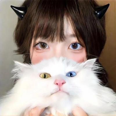 杀手精英 在线观看